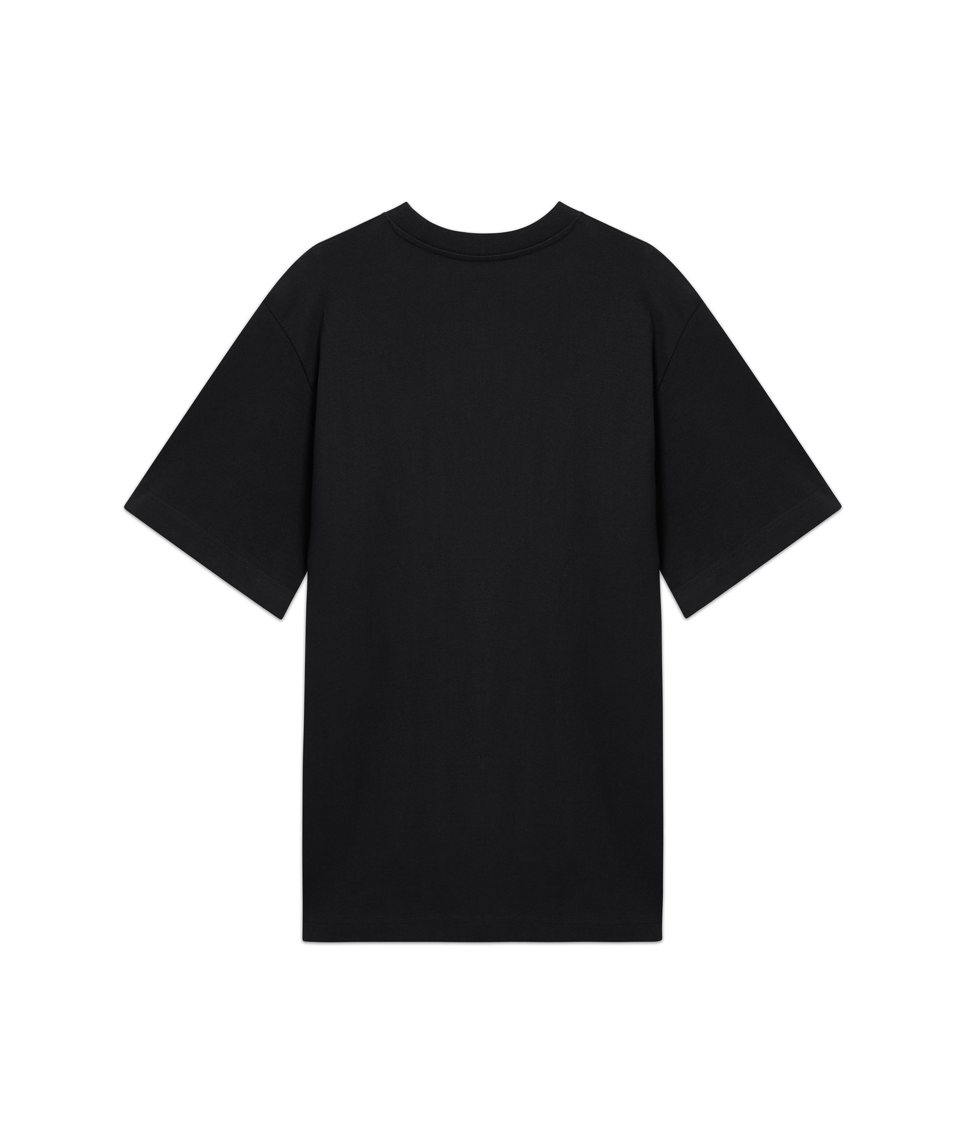 Flipper Fantasy T- Shirt
